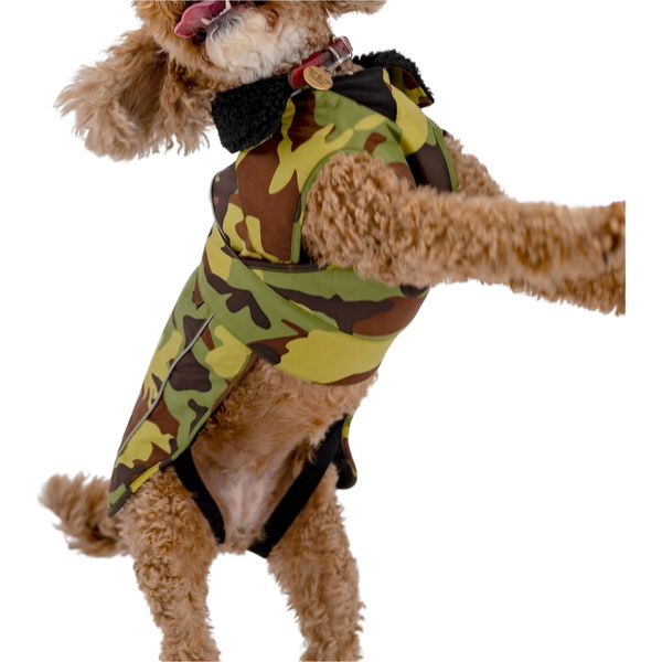 2025 Dryrobe Dog Coat DR - Green Camouflage / Black